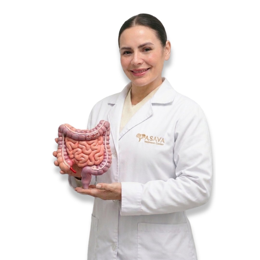 Especialista de ASAVA con modelo anatómico de colon